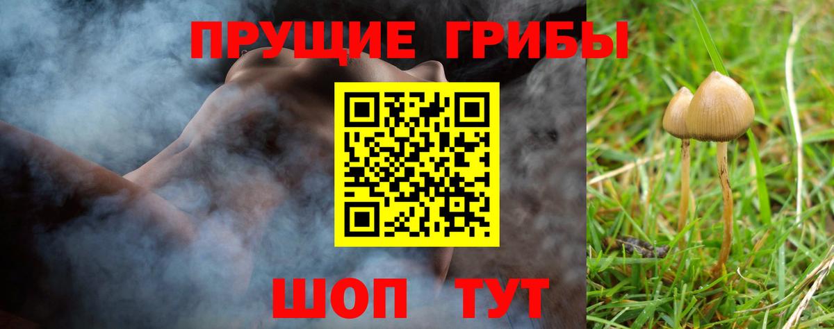 Галлюциногенные грибы Psilocybe Нефтекумск